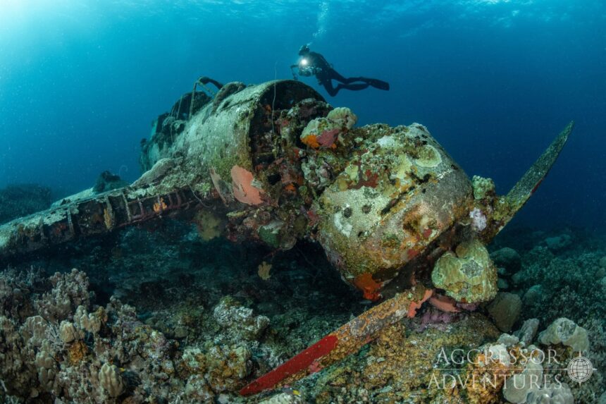 Diver exploring a coral-encrusted World War II wreck in Palau