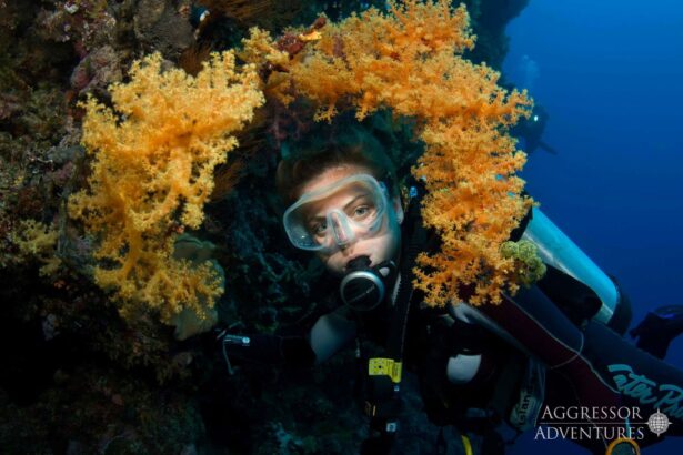 Diver peering out from soft coral on a Palau reef wall