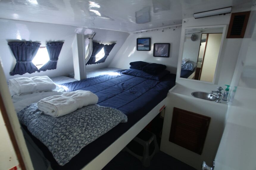 Cabin bunk aboard the Cat Ppalu with a small sink and mirror