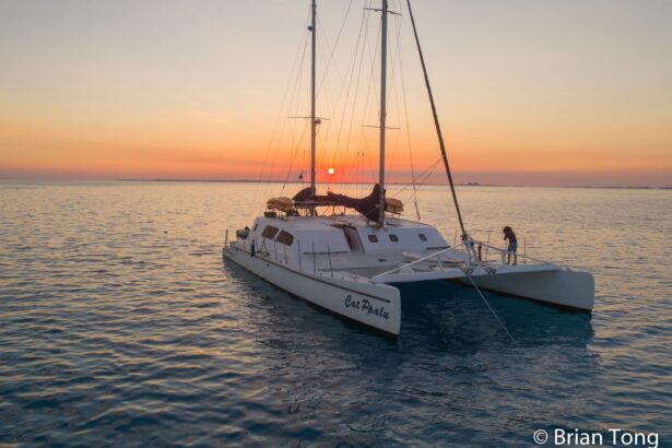 Cat Ppalu catamaran silhouetted against an orange sunset