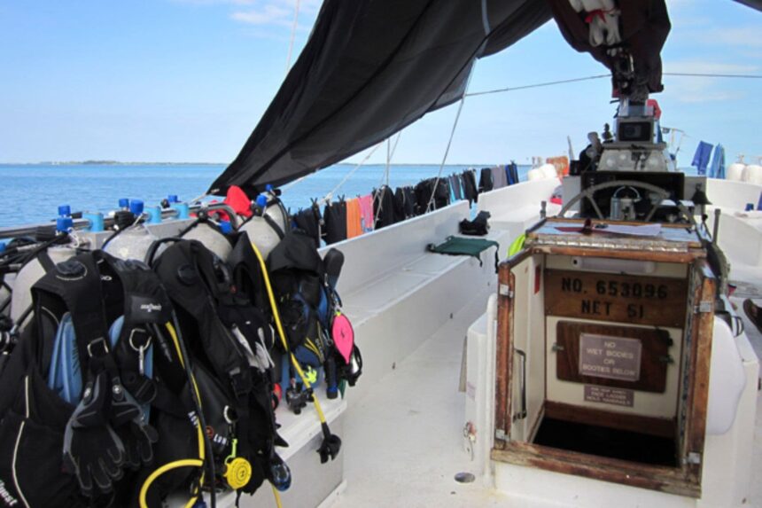 Scuba BCDs and gear hanging along the dive deck rail of a liveaboard
