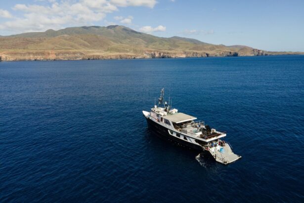 Aerial view of the Nautilus UnderSea liveaboard cruising past coastal cliffs