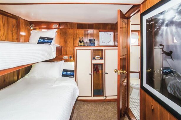 Bunk cabin with an open door leading to the ensuite bathroom