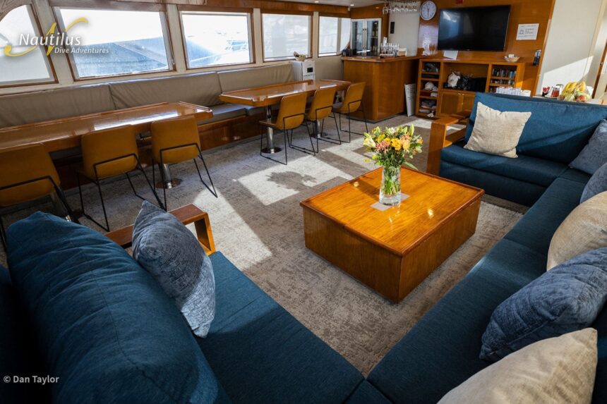 Lounge seating area with sofas and a stocked bar aboard the Nautilus Gallant Lady