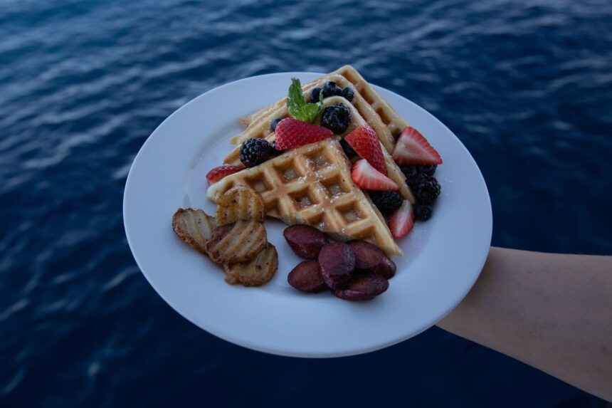 Plate of waffles with berries held out over the ocean