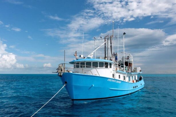 Dolphin Dream liveaboard overview