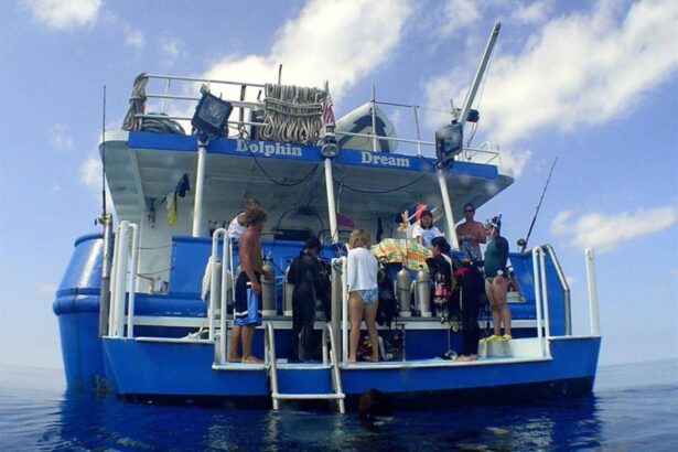 Guests boarding the Dolphin Dream from the stern dive platform