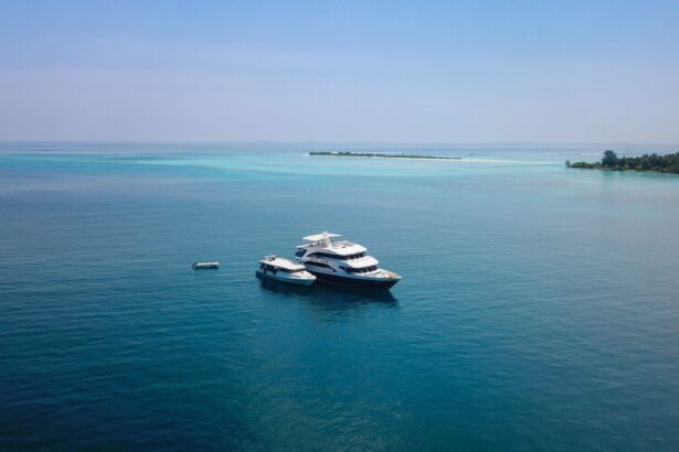 A coral-encrusted shipwreck attracts reef fish and divers
