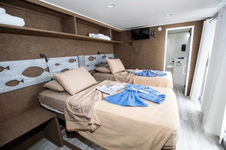 Twin cabin beds with fish-motif headboards aboard the All Star Avalon