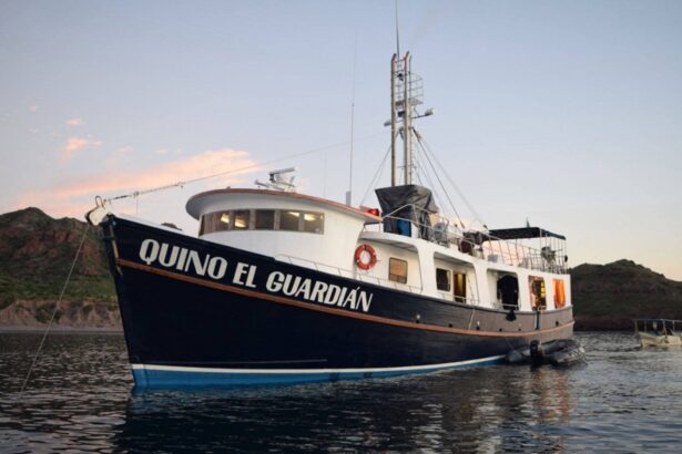 Quino el Guardian liveaboard overview