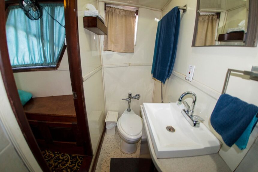 Ensuite bathroom aboard the Rocio del Mar with sink, toilet and shower area