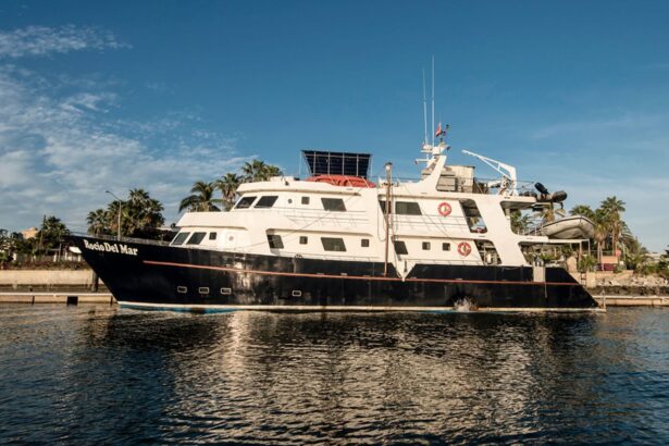 The Rocio del Mar liveaboard docked at the marina with palm trees onshore