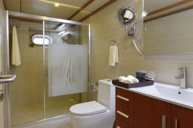 Ensuite bathroom aboard the Maldives Blue Force One with glass shower and vanity