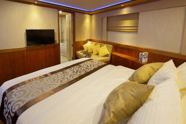 Bedroom cabin aboard the Maldives Blue Force One with a wall-mounted TV and daybed