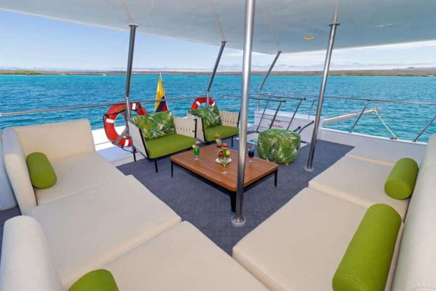 Guests in life jackets on a tender boat with a marine iguana on the rocks nearby