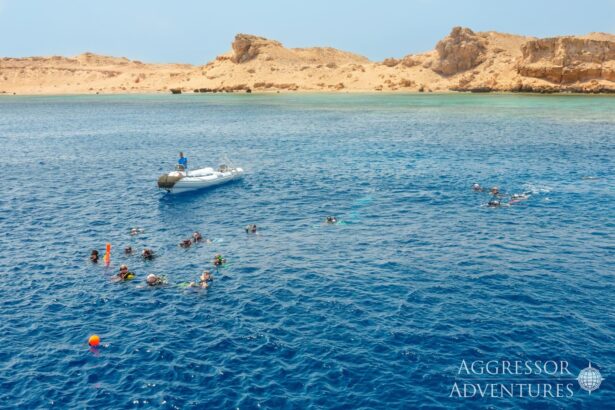 Snorkelers and a tender boat near a rocky Red Sea coastline