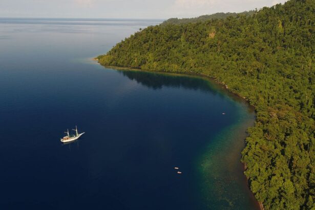 Aerial view of the Pindito anchored beside a forested Indonesian bay