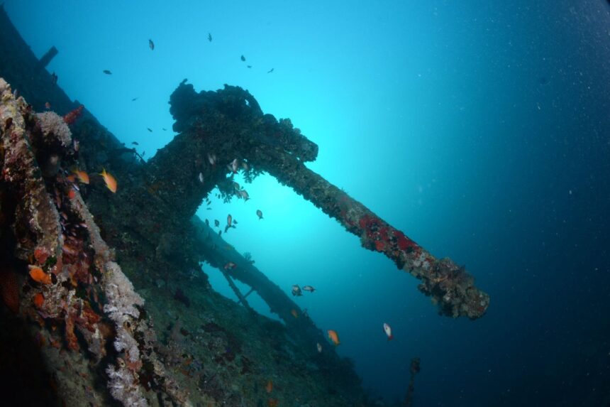 Sunken ship mast covered in coral growth on a Red Sea wreck dive
