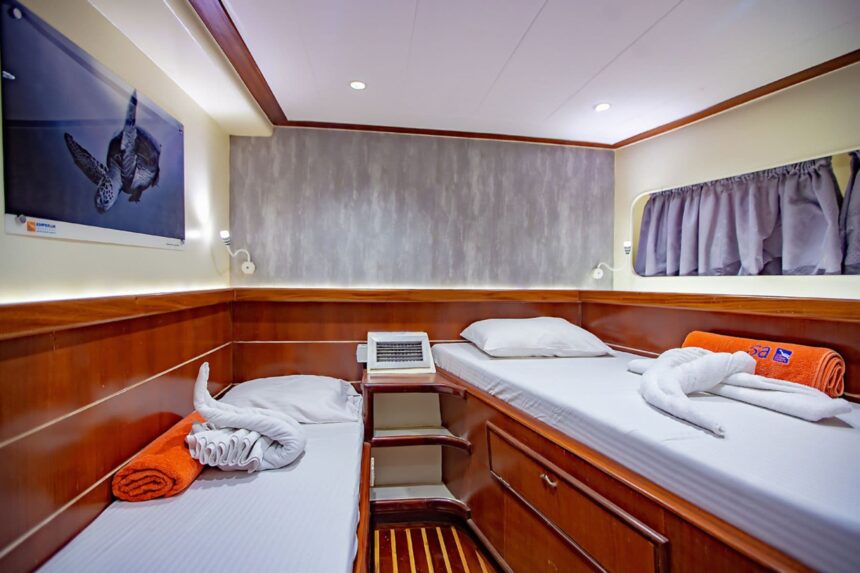Twin cabin aboard the Emperor Asmaa with a sea turtle photo on the wall