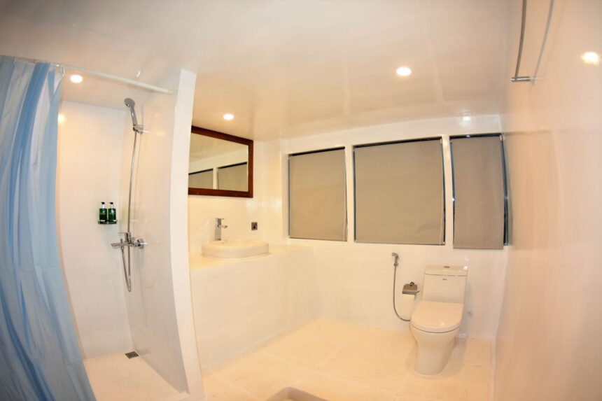 Ensuite bathroom aboard the Emperor Leo with shower, sink and toilet