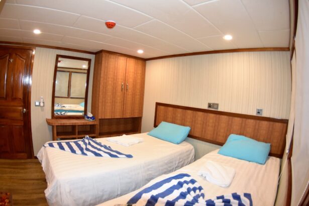 Twin bed cabin aboard the Emperor Leo with wood paneling and ensuite storage