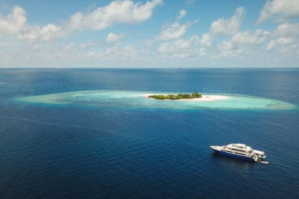Aerial view of a small palm-covered island ringed by turquoise reef in the Maldives