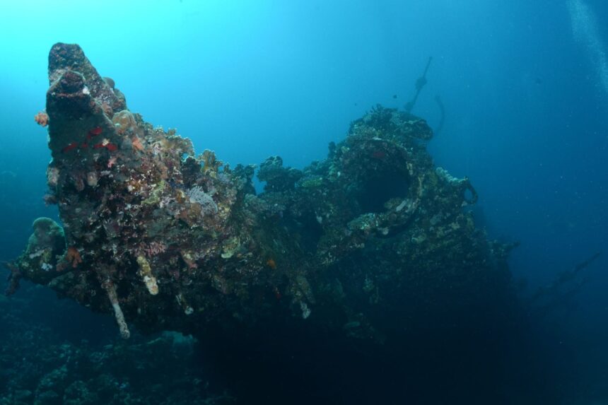 Coral-encrusted shipwreck bow looming in the Red Sea