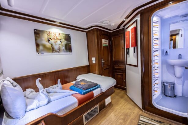 Single bed cabin aboard the Emperor Superior with wildlife wall art and ensuite bathroom
