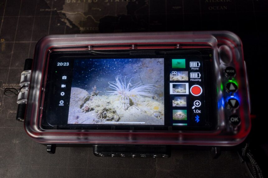 Phone inside the closed SportDiver housing running the SeaLife app camera screen with battery readouts