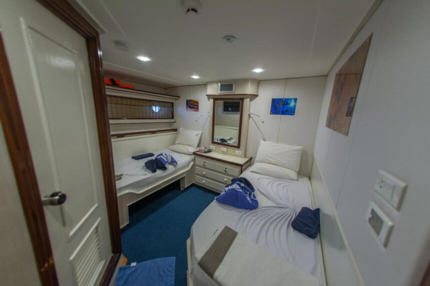 Twin bed cabin aboard the Blue Voyager with wall art and blue carpet