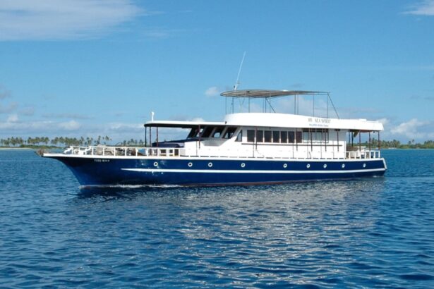 Blue-hulled liveaboard dive boat cruising near a Maldivian island