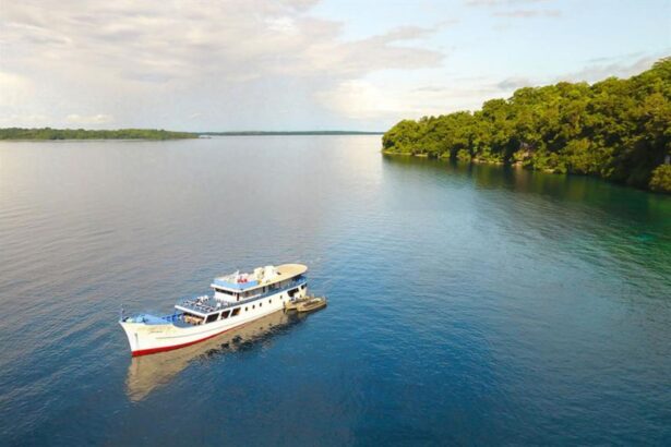 Aerial view of the Bilikiki liveaboard cruising past a forested Solomon Islands coastline
