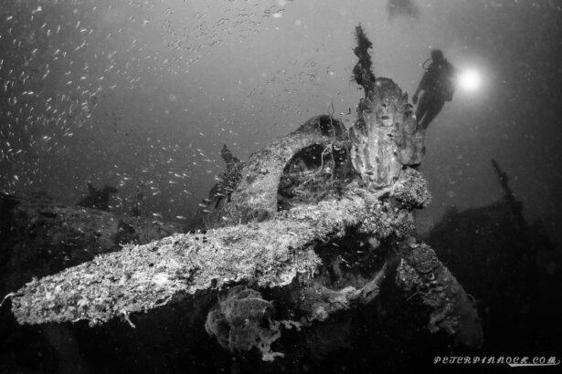 Black and white shot of a diver exploring a wreck's mast surrounded by baitfish