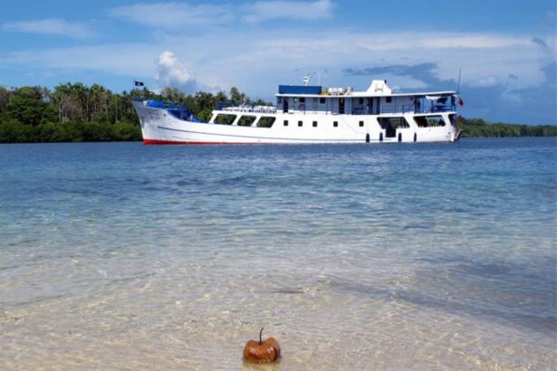 Coconut floating in shallow clear water with the Bilikiki anchored offshore