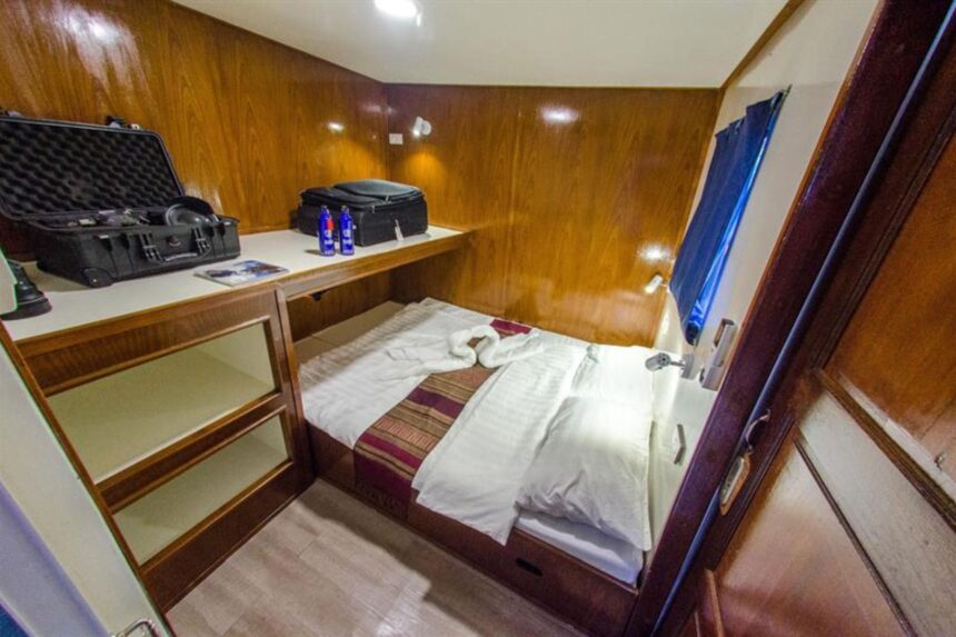 Double bed cabin with camera gear and dive equipment aboard The Smiling Seahorse