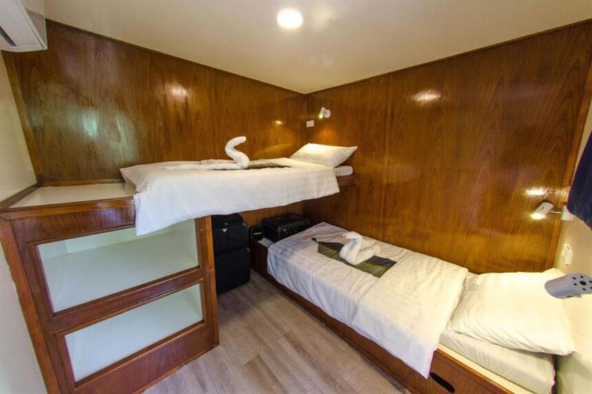 Twin bunk cabin with wood paneling aboard The Smiling Seahorse liveaboard
