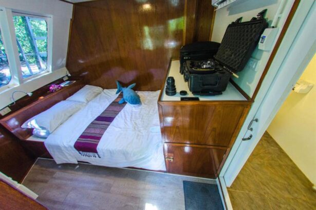 Cabin bed with a stuffed shark toy and dive camera housing case aboard The Smiling Seahorse