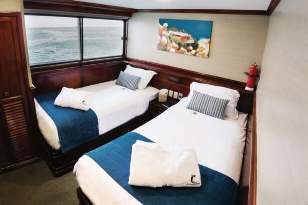 twin bed cabin with a reef fish painting above the headboards on the Galapagos Sky
