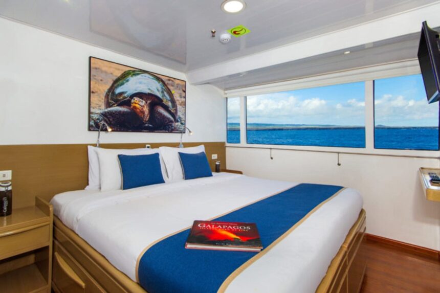 a Calipso cabin with a king bed, turtle photo art and ocean-view windows