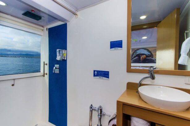 a Calipso cabin bathroom with a sink and a turtle photo reflected in the mirror