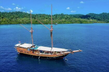 The Jaya phinisi liveaboard anchored near a forested tropical shoreline