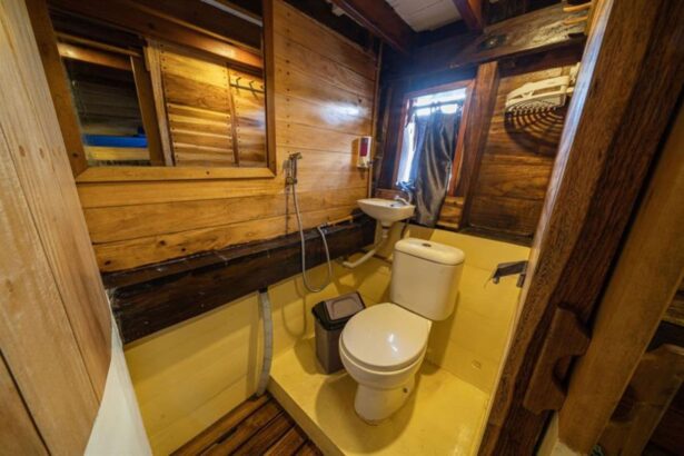 Wooden ensuite bathroom aboard the Jaya with toilet, sink and handheld shower