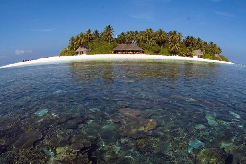 Small palm-covered island resort seen from the water with a coral reef visible below the surface