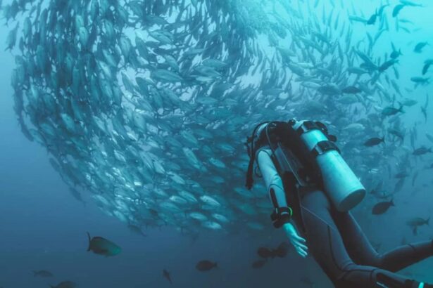 Diver swimming beside a swirling school of jack fish