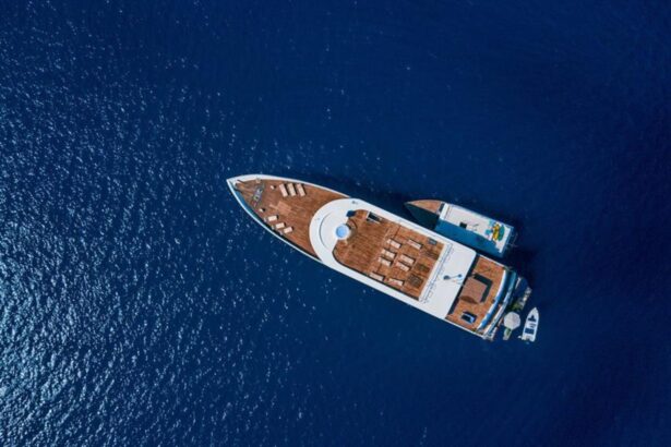 Aerial view of Scubaspa Yin at sea with its tender boat alongside