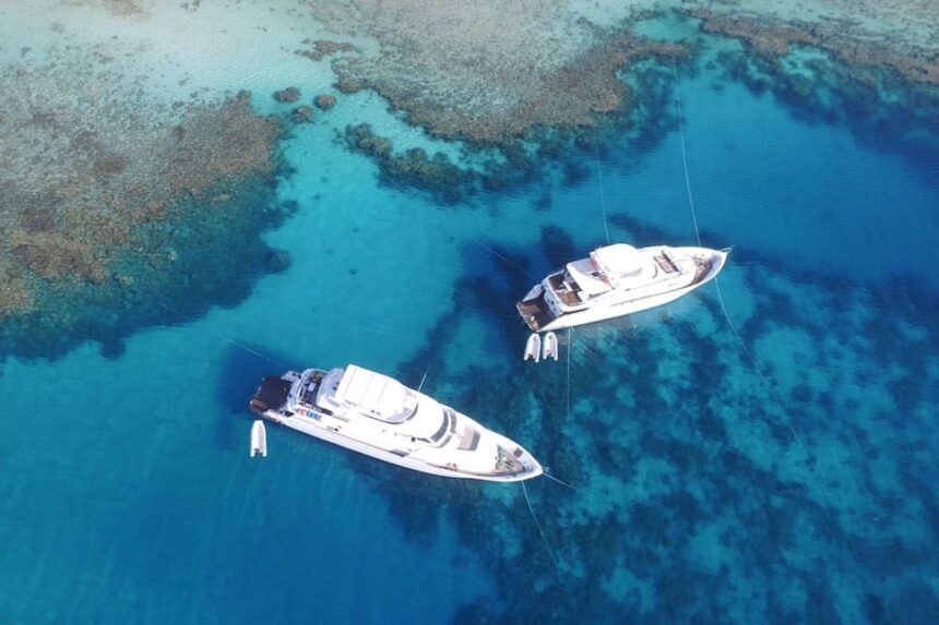 Dive Sites In Egypt Liveaboard Egypt Dive Sites In Egypt Liveaboard Egypt