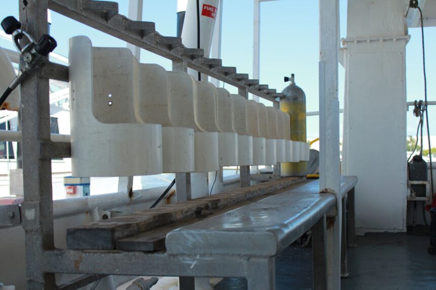 Dive tanks lined up on the MV SeaEsta's dive deck racks