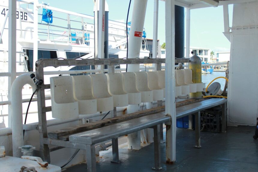 Rows of dive tanks racked along the gear-up station on the MV SeaEsta's dive deck