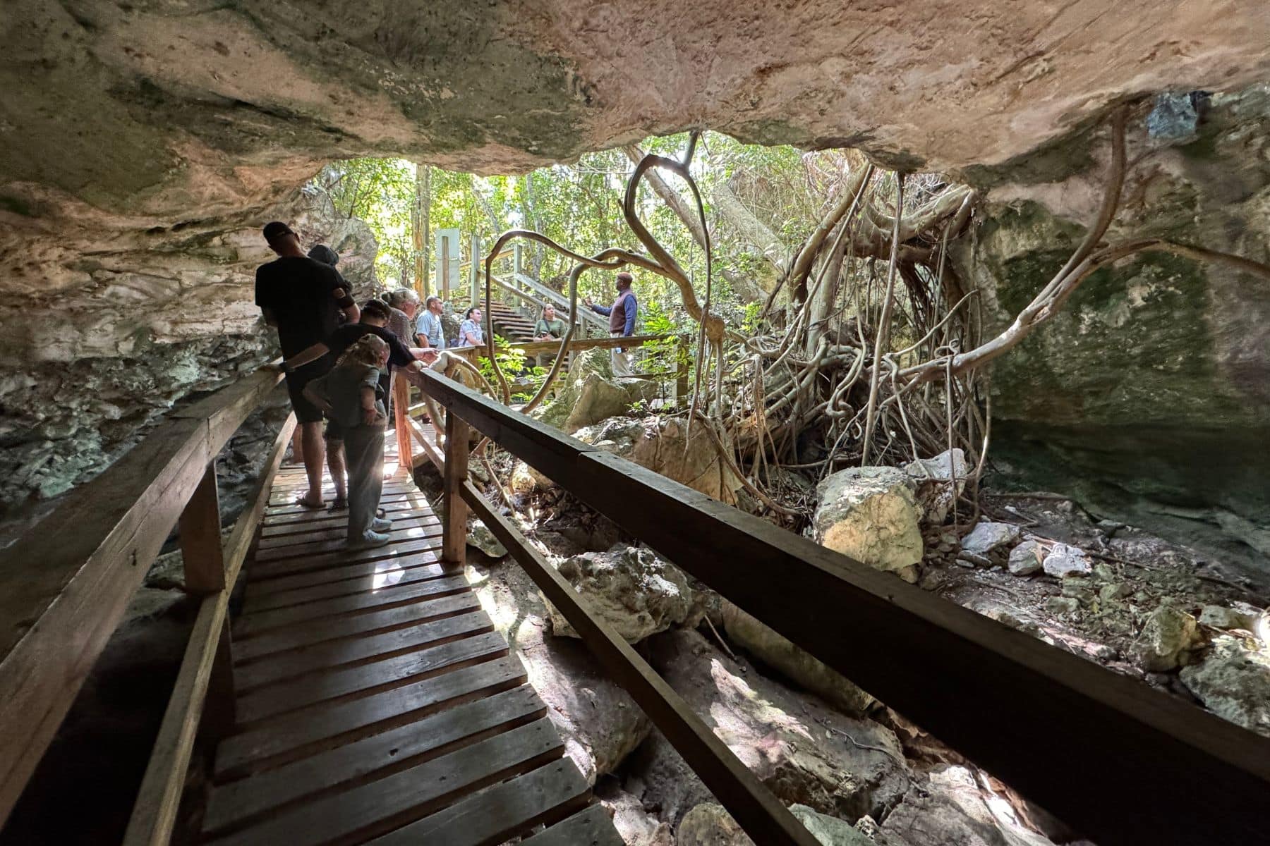 Wooden boardwalk leading through a limestone cave with hanging vines in Lucayan National Park