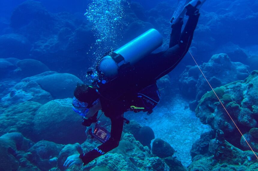 DIVEIN tester finning over a reef in the BARE Nixie Ultra wetsuit during a test dive